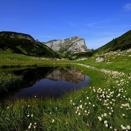 Dahoam Wiesing