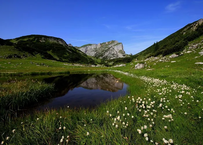 Dahoam Wiesing